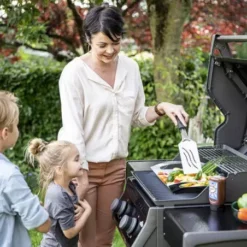 Barbecue Gaz Rogue 365 R 2 Brûleurs - NAPOLEON -Magasin De Fournitures De Cuisine Pour Barbecue barbecue gaz rogue 365 serie r 2 bruleurs 2