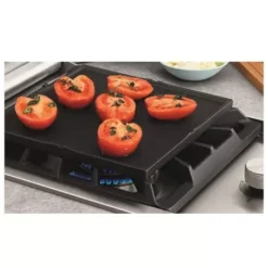 Bruleur Encastrable Bi Proline -Magasin De Fournitures De Cuisine Pour Barbecue bruleur encastrable bi proline 3
